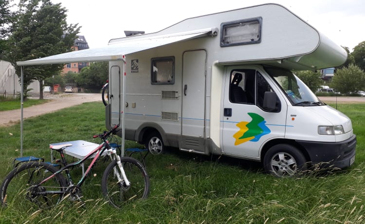 WOMO – WOMO CAMPER MOBILE IN AFFITTO / PRESTITO / AFFITTO FIAT ALKOVEN