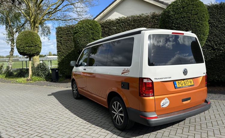 Camper Bronze – p Volkswagen bus from 2018