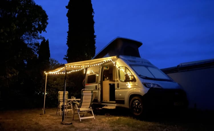 Bürstner – Camping-car 4p Bürstner à partir de 2020