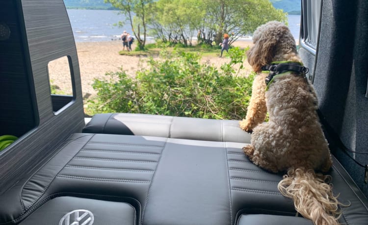 Bonnie 🏴󠁧󠁢󠁳󠁣󠁴󠁿 – L'aventure attend! 😎🏔️ VW T6.1 - Animaux acceptés 🐶 