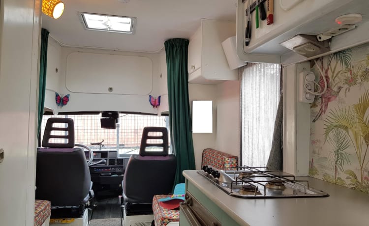 LewiHome – Fiat Ducato 3 persone