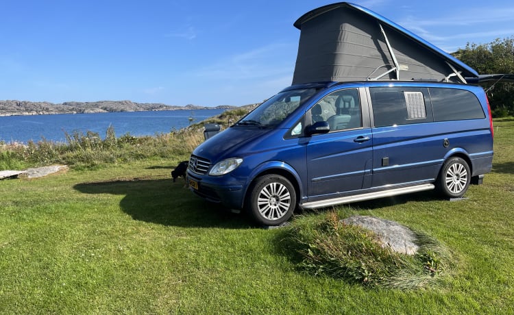 Booster Blue – Camper autobus Mercedes Viano