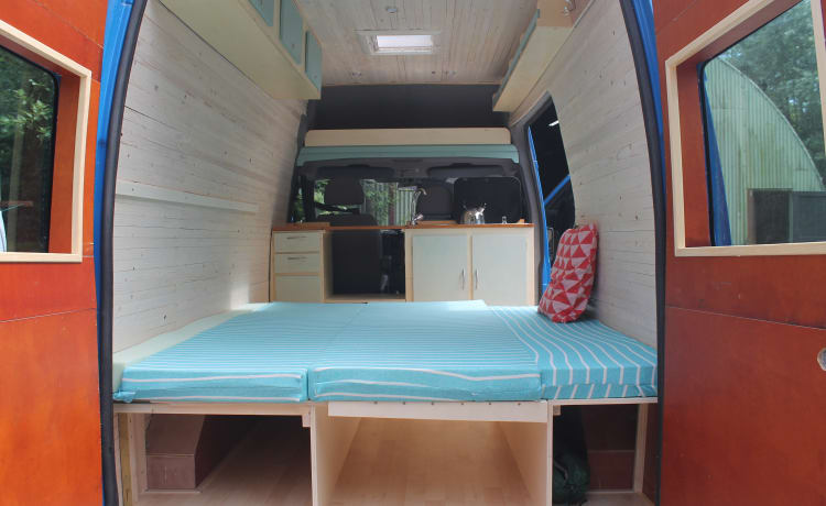 De Blauwe droom – Ford Transit, il sogno blu