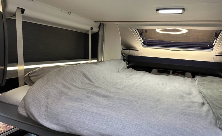 4p Chausson semi-integrated from 2022