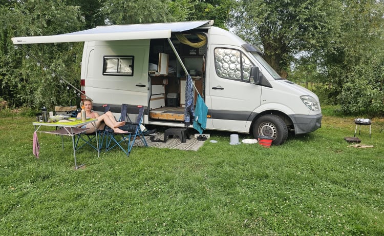 Balsem Bus – 2er-Mercedes-Benz-Bus aus dem Jahr 2007