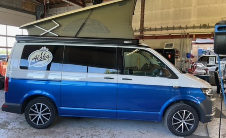 VW T6 Automaat – Aloha Beach Camper Blu