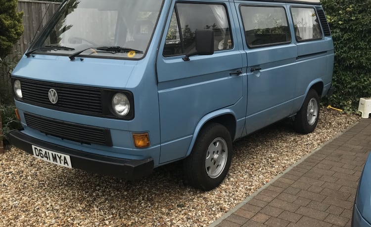 "Mya" - Klassischer VW T25