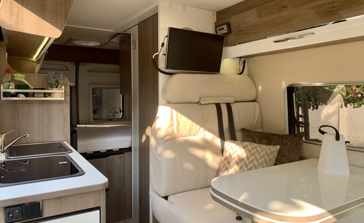 Experience the freedom of a compact bus camper