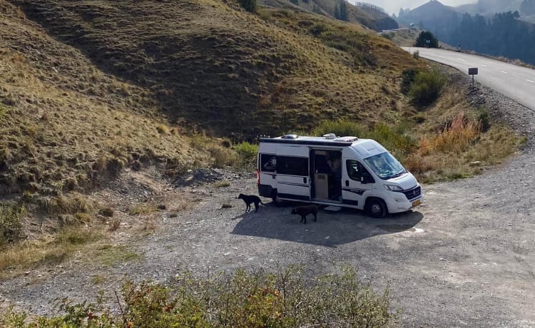 Simpatico hobby camper Bus completo