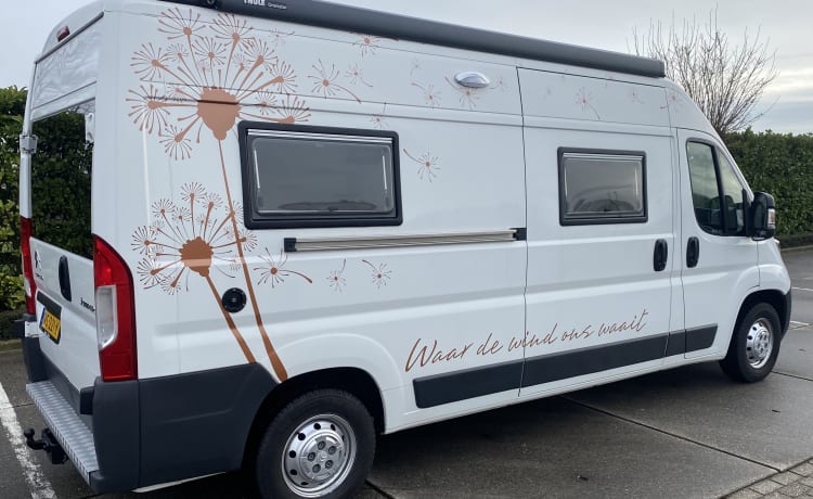 Bussie – Beautiful Adventure bus (2P), completely NEW equipped, also for tall people!