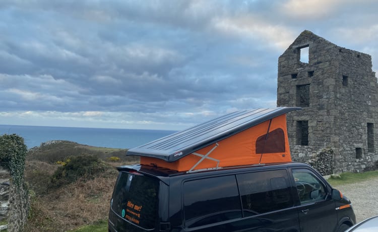 Gino D’Campervan – Cornish T6 Ad-Van-Ture !