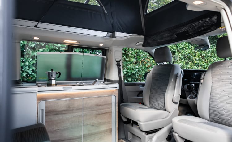 Dutch Nomad Van  – NOUVEAU! VW California Ocean 6.1 complet et luxueusement équipé.