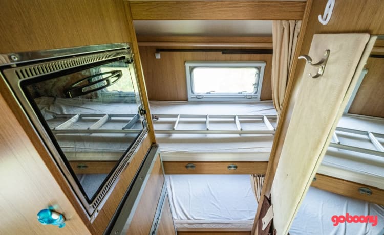 "De Koala" – Spacious kidsproof camper for the whole family (including friends!)