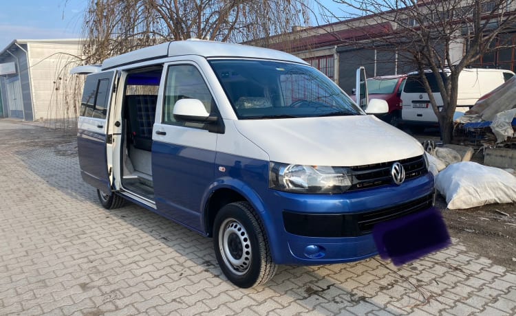 Luxury Van Transporter T5