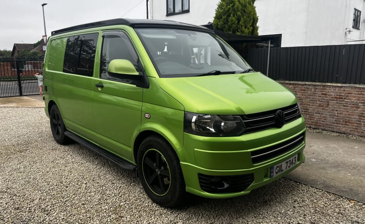 Auffälliger VW T5.1 Wohnmobil mit 4 Schlafplätzen