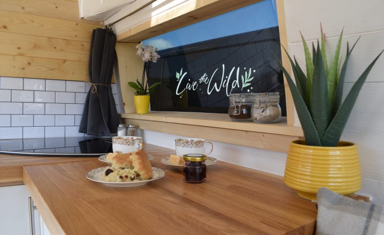 Vanastasia – Cozy Cabin Camper de « Live the Wild »