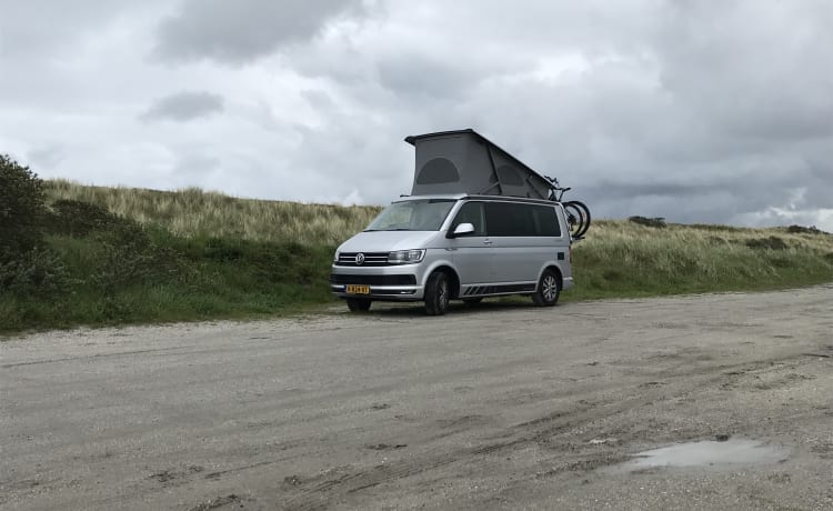 Bulli – Voiture d'origine VW California Ocean T6. Euro6