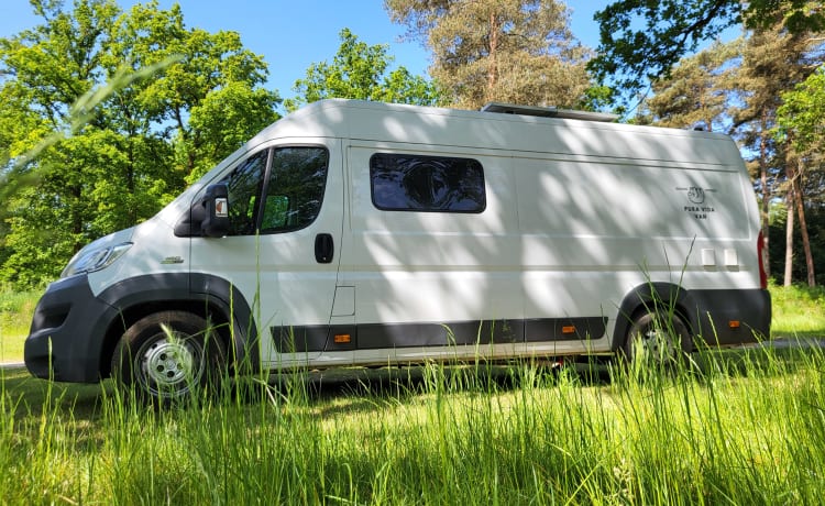 Pura Vida Van – 3-person bus camper built in 2023