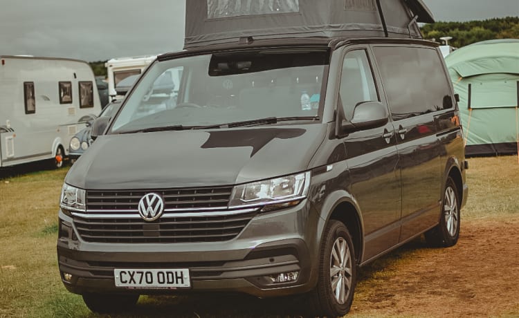 Harley – Wanneer hondvriendelijk hondvriendelijk betekent - Luxe VW T6.1 campervan