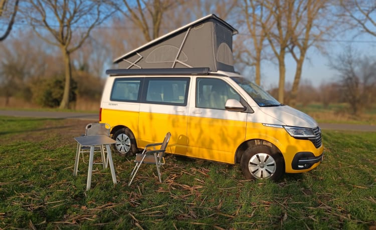 STORMY 1 – Volkswagen California Océan NOUVEAU