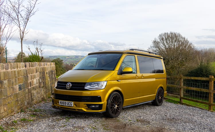 Goldbug – 4-persoons Volkswagen campervan uit 2019