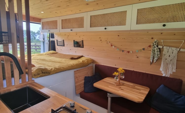 Willem – Willem - Cozy bus camper!