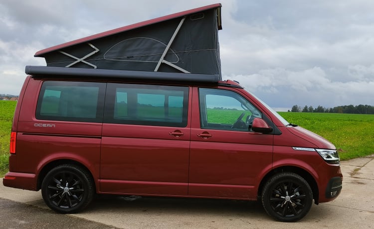 Dan The Van – Volkswagen 2022 California Coast 150 CV Diesel 6v