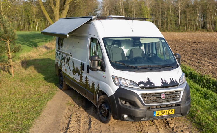 3p Fiat campervan uit 2018