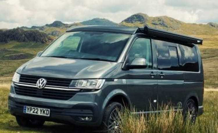 Colin – 2022 VW T6.1 Wohnmobil. 4 Schlafplätze. Hunde erlaubt