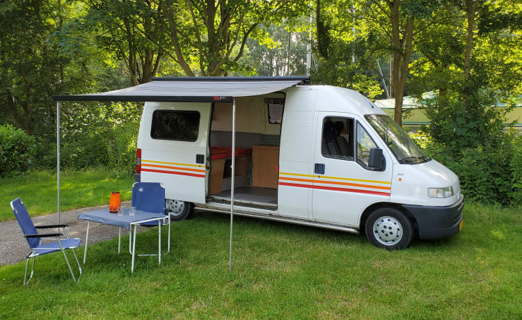 Retro Ronnie – Cozy and spacious (family) bus camper