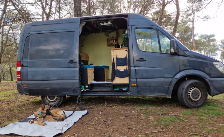 Henry – 2p off-grid Mercedes Sprinter camperbus 2007 