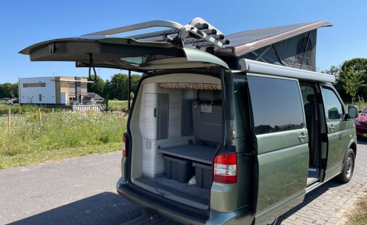 California  – 4 pers. Volkswagen bus camper