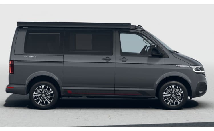 CALI Grey – Volkswagen California OCEAN Vert&Blanc