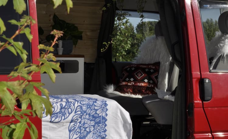 Try Vanlife – Probieren Sie Vanlife Off the grid Ducato mit großem Bett!