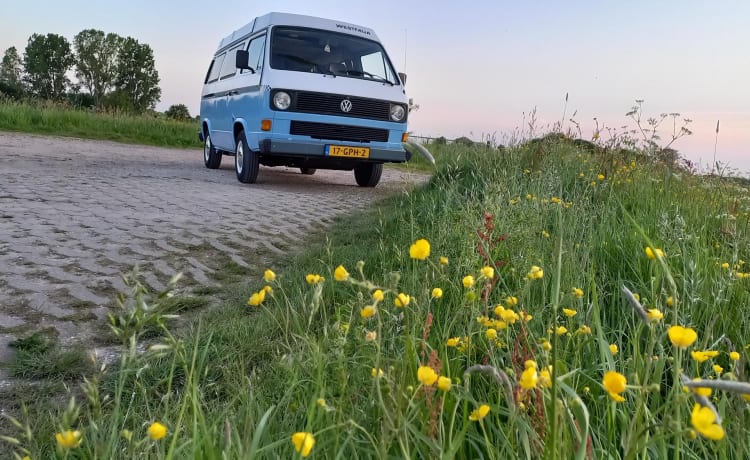 Stitch – Retro 5p Volkswagen Westfalia campervan uit 1982 Stitch