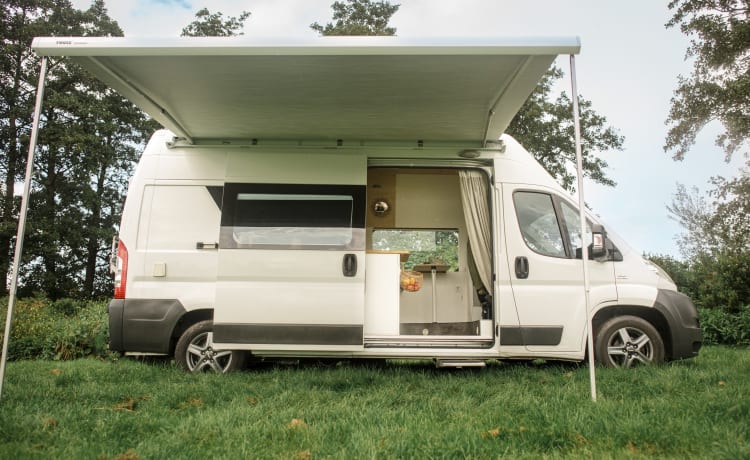 Beautiful unique Bus camper