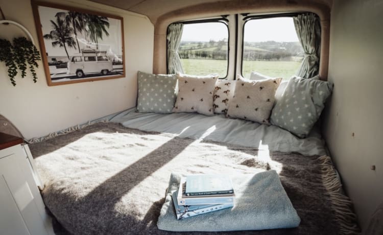 Amari – Superbe camping-car Volkswagen