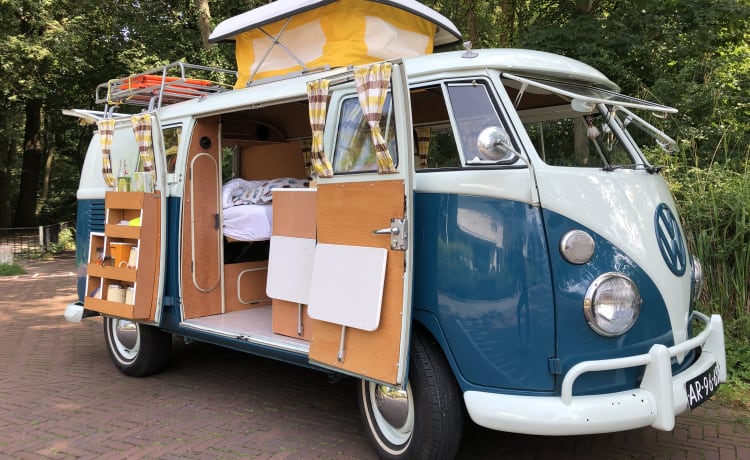 De Bus – T1 Volkswagen bus uit 1965