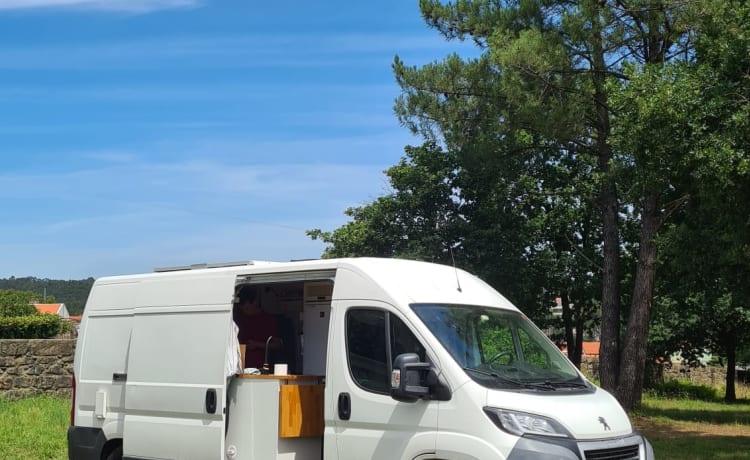 Piebe – Camping-car Peugeot Bus, maison complète sur roues