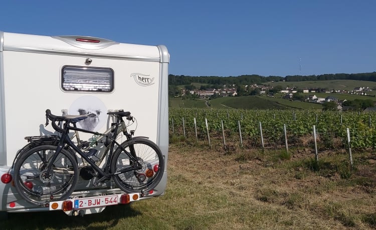 Zeer nette 6m camper voor 3 personen. Compact en toch ruim!