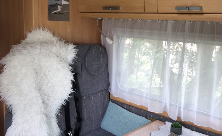 Beautiful and spacious family camper