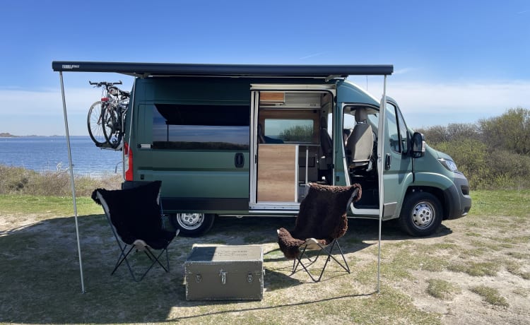 De Groene Waldi – Peugeot Boxer Kompaktbus Camper zu vermieten