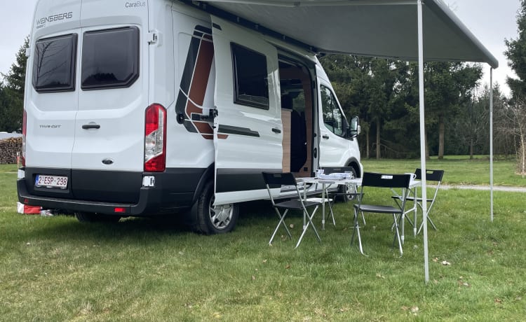 Nieuwe Ford Campervan 