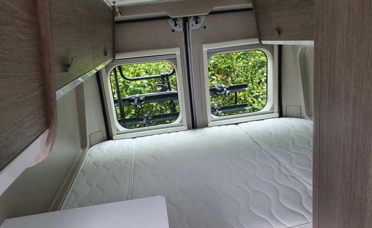 v114 – Bus Camper 2 Personen 2021