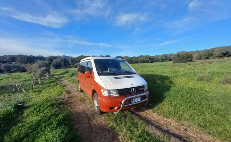 VANTASTIK RENTAL CAMPERVAN – MERCEDES MARCO POLO - VAN GOGH