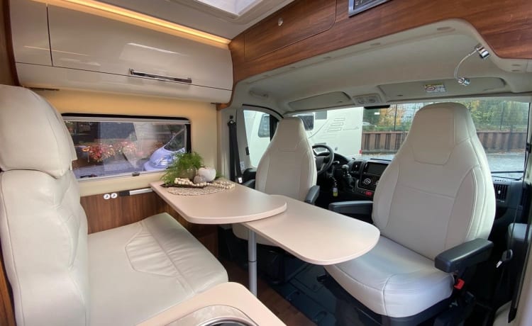 Soestdijk – Camper bus per 2 persone del 2017, Roller Team Livingstone Prestige