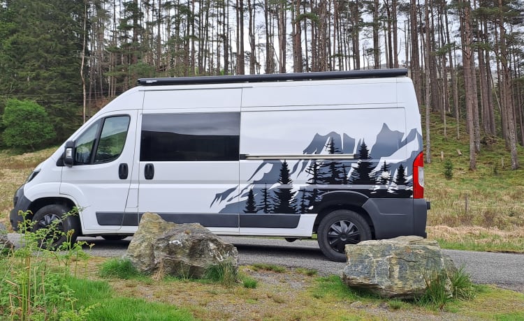 Winston – 2 berth Peugeot Campervan with awning