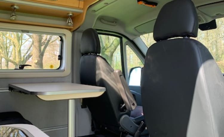 Perfekter Camper Van Fiat Bavaria Camp zu vermieten - Automatik