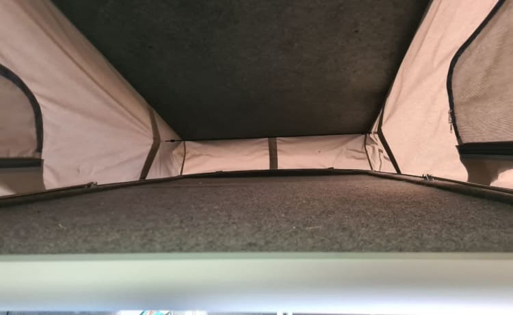 Victoria – VW Camper Van - T6 2017