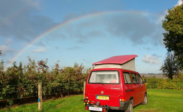 Klassischer T4 Westfalia für die Niederlande